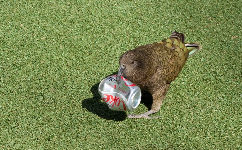 The UK's Litter Problem