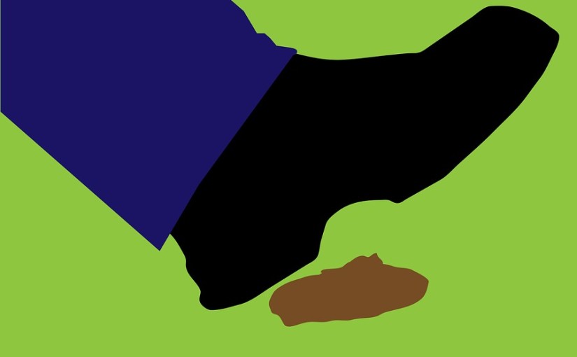 5 Creative Council Campaigns to Tackle Dog Mess