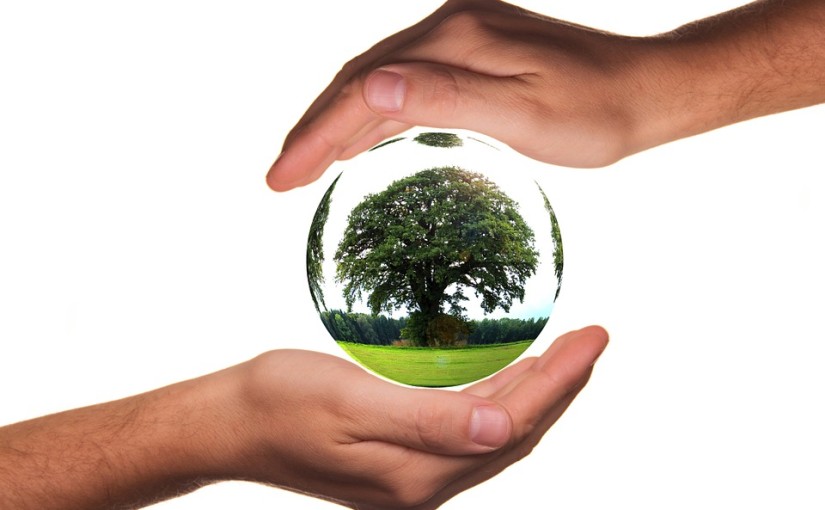 Are You Ready for National Zero Waste Week 2015?