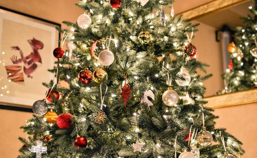 How to Recycle your Christmas Tree