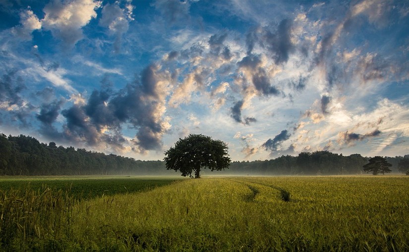Tips For Being an Eco-Friendly Woman