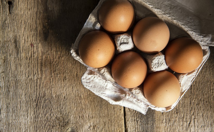 Bradford: Healing wounds with recycled eggshells