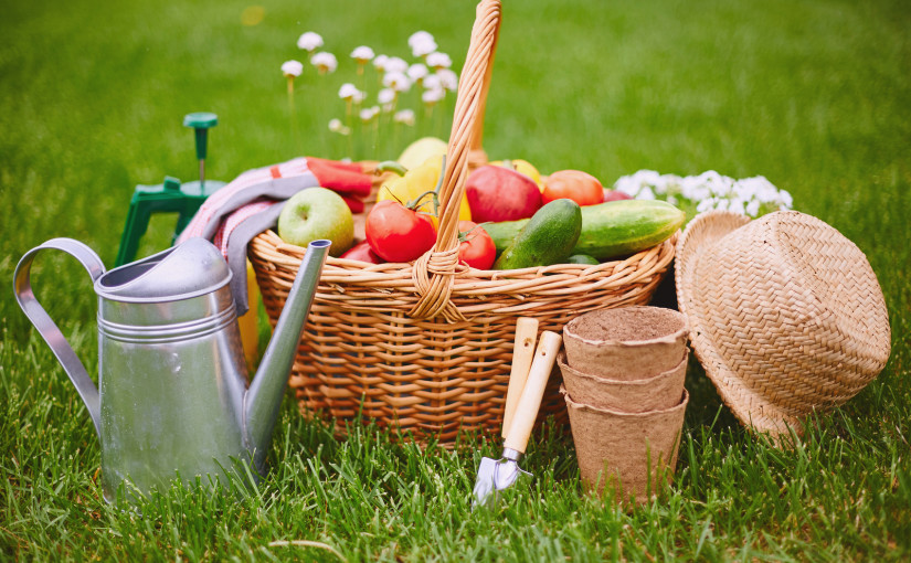 10 Zero Waste garden tips
