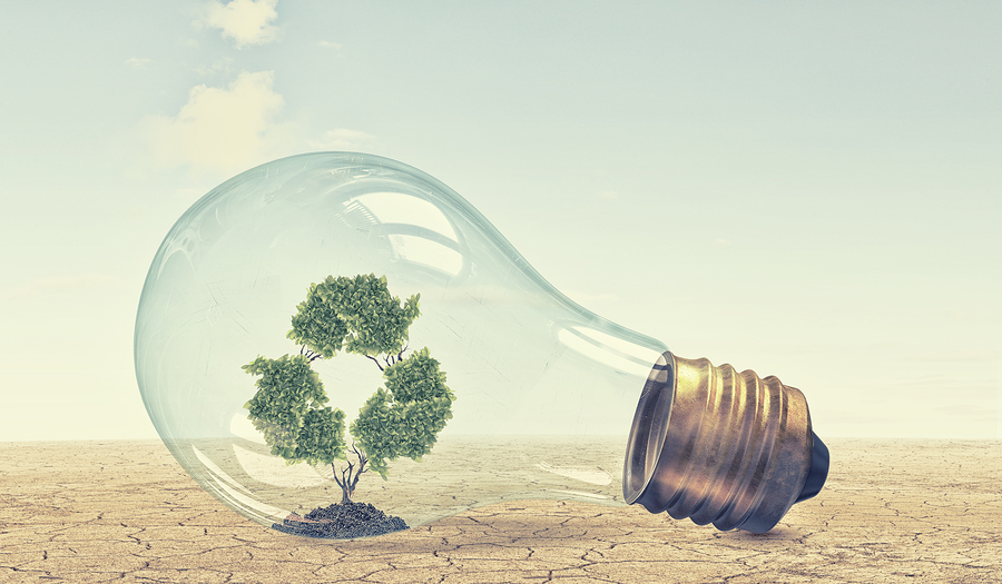 Environmentally friendly lightbulb