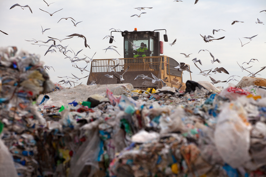landfill