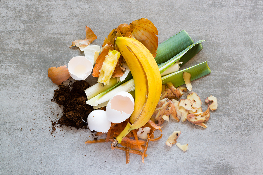 Food waste
