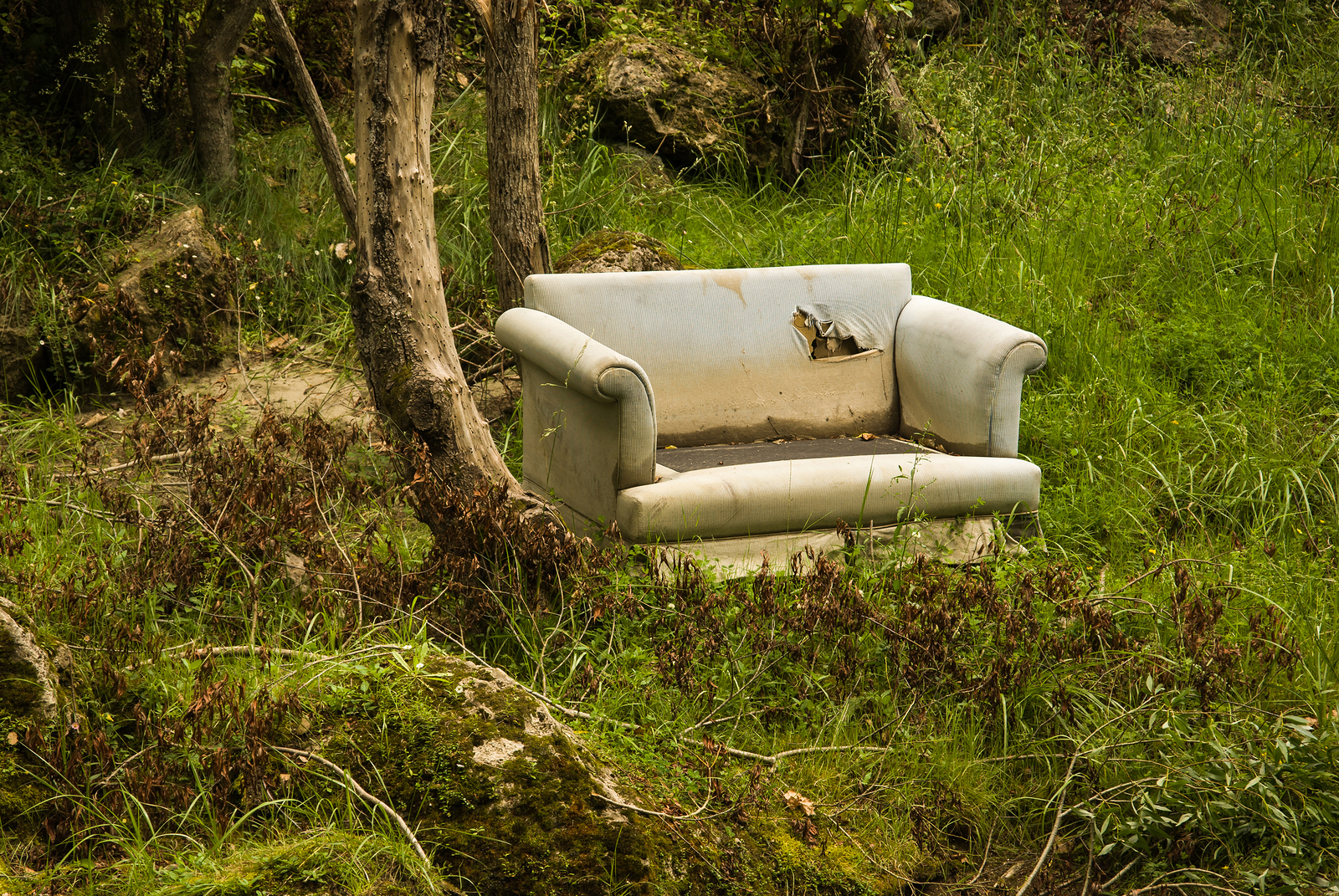An illegally dumped sofa in the woods