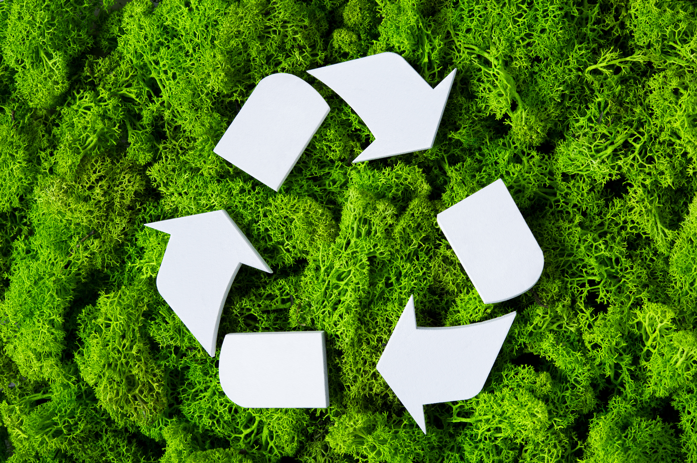 How to improve & increase your recycling - The Waste Management & Recycling  Blog