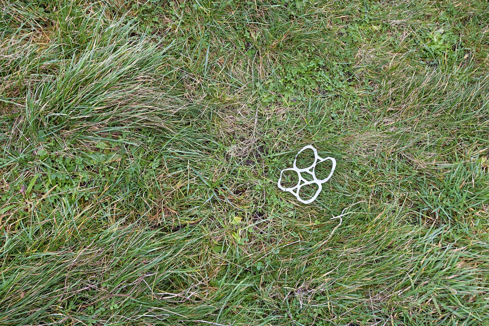 Plastic can rings littered on grass