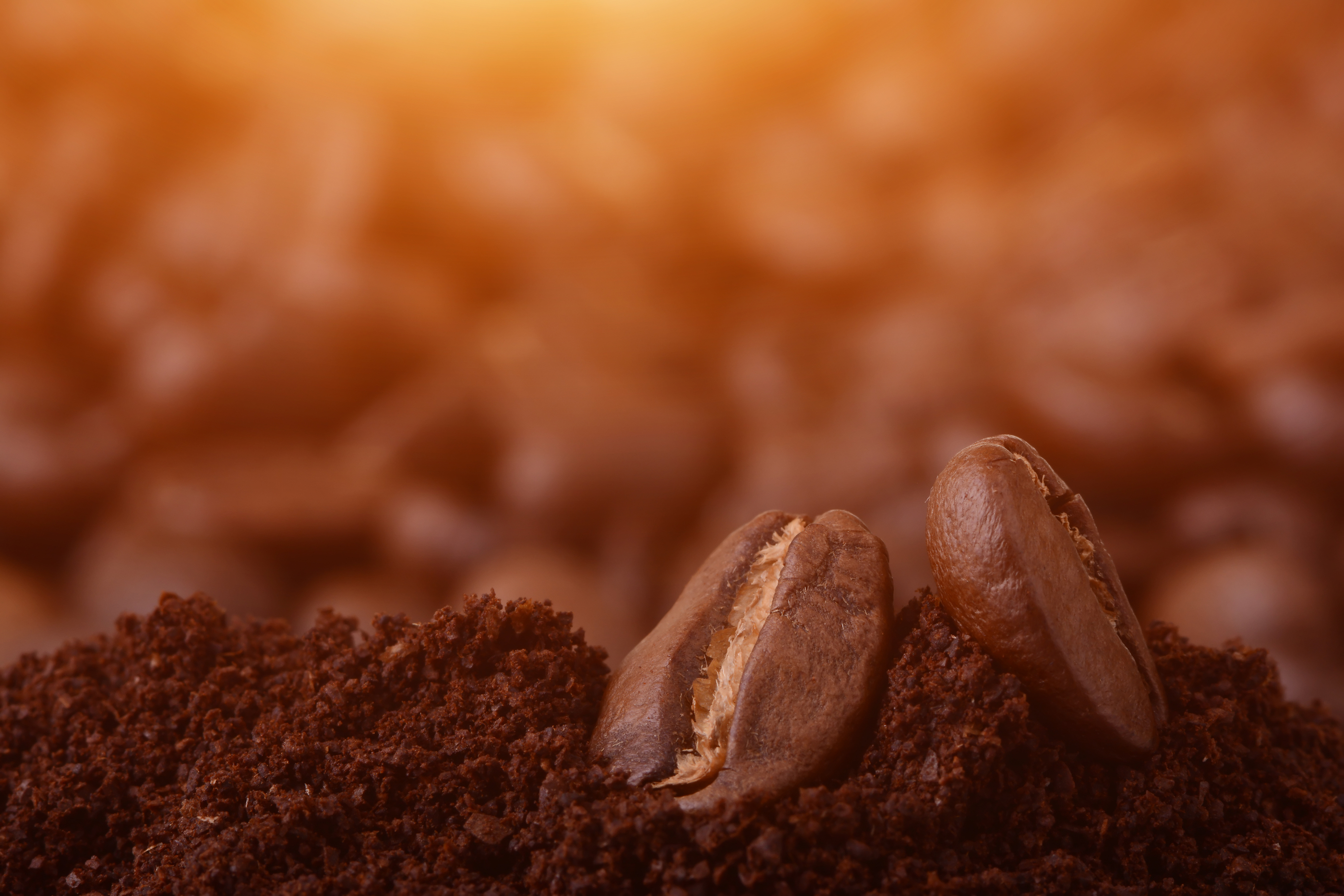 https://www.forgerecycling.co.uk/blog/wp-content/uploads/2018/11/bigstock-Closeup-Of-Coffee-Beans-At-Roa-165375467.jpg