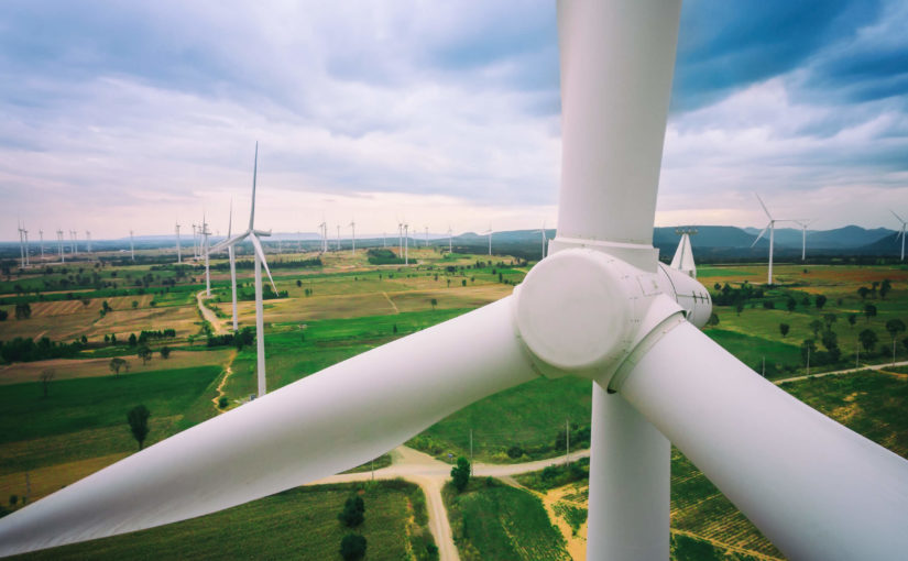 Easy ways to live more sustainably in 2020