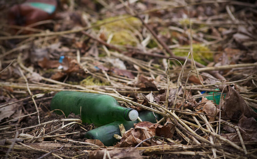 Discarded glass bottles in the mud.