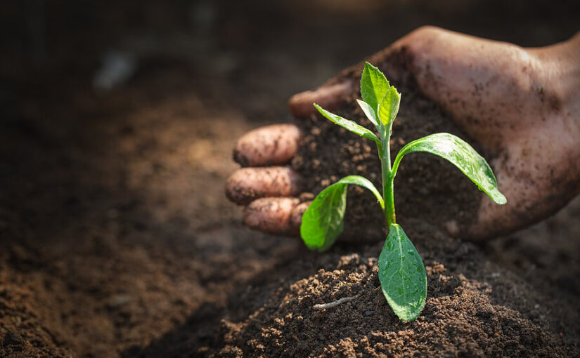 How to dispose of unwanted soil - The Waste Management & Recycling Blog