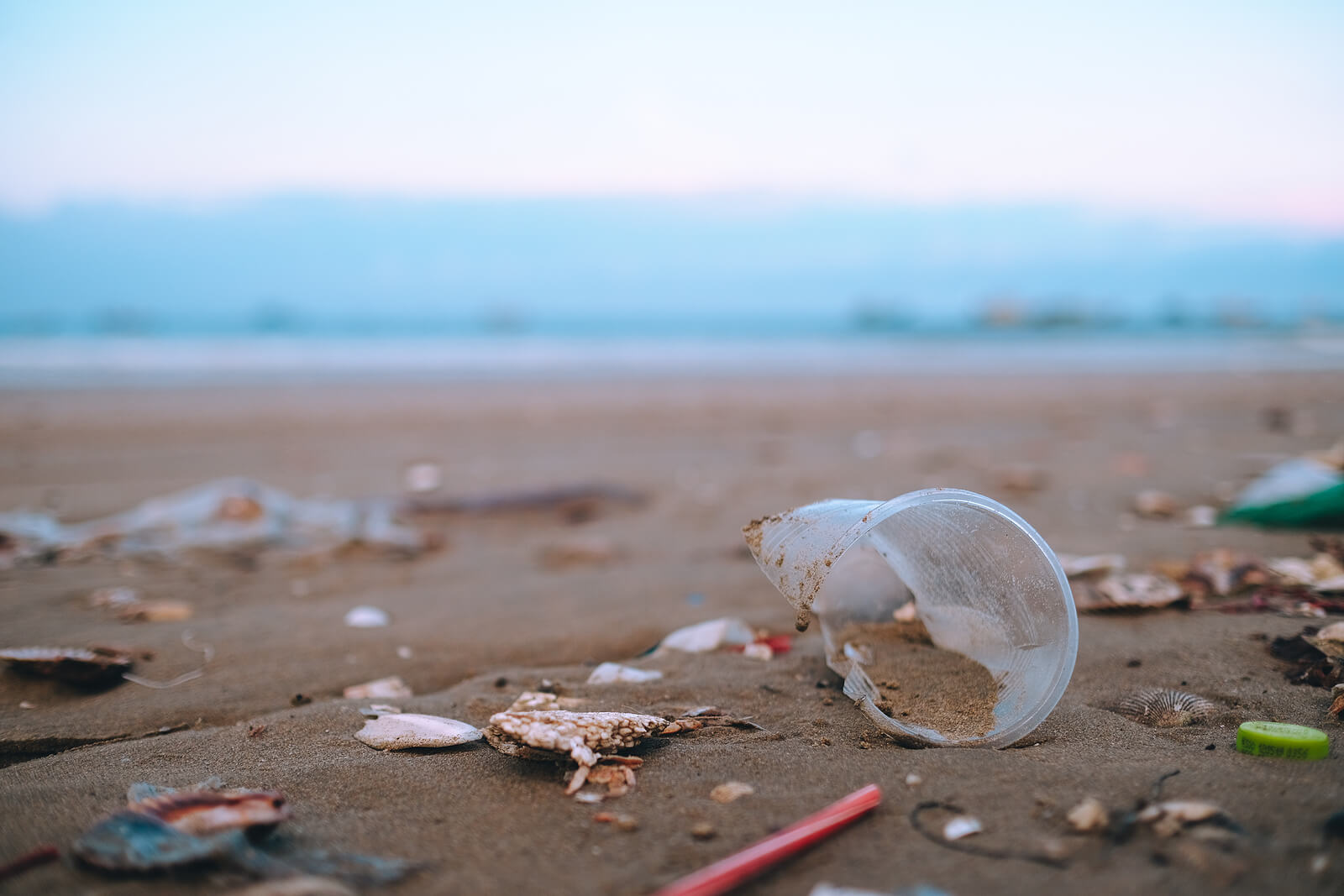 Plastic litter on a sandy beach