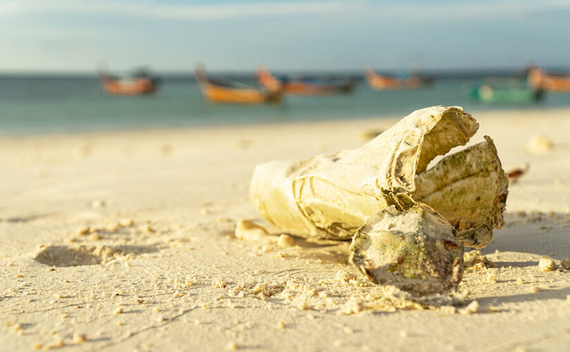 How long it takes everyday items to decompose