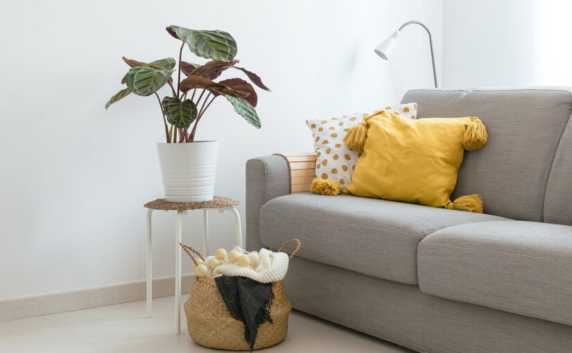 How to remove skirting boards: a step-by-step guide